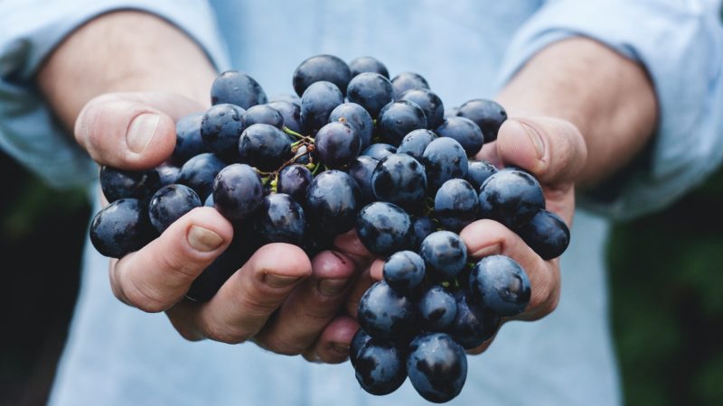 Comment investir dans le vin