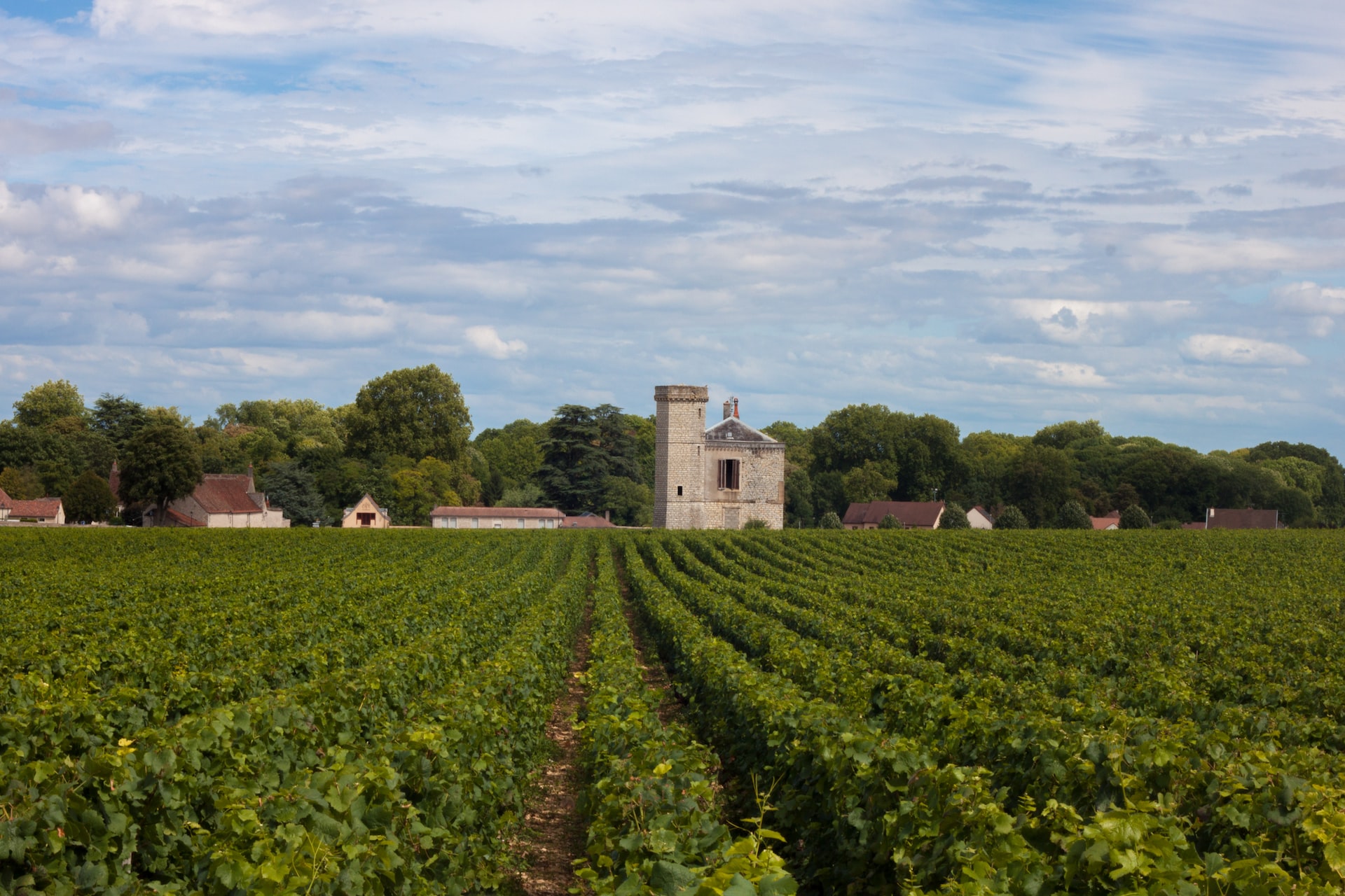 Bourgogne, Guide des vins